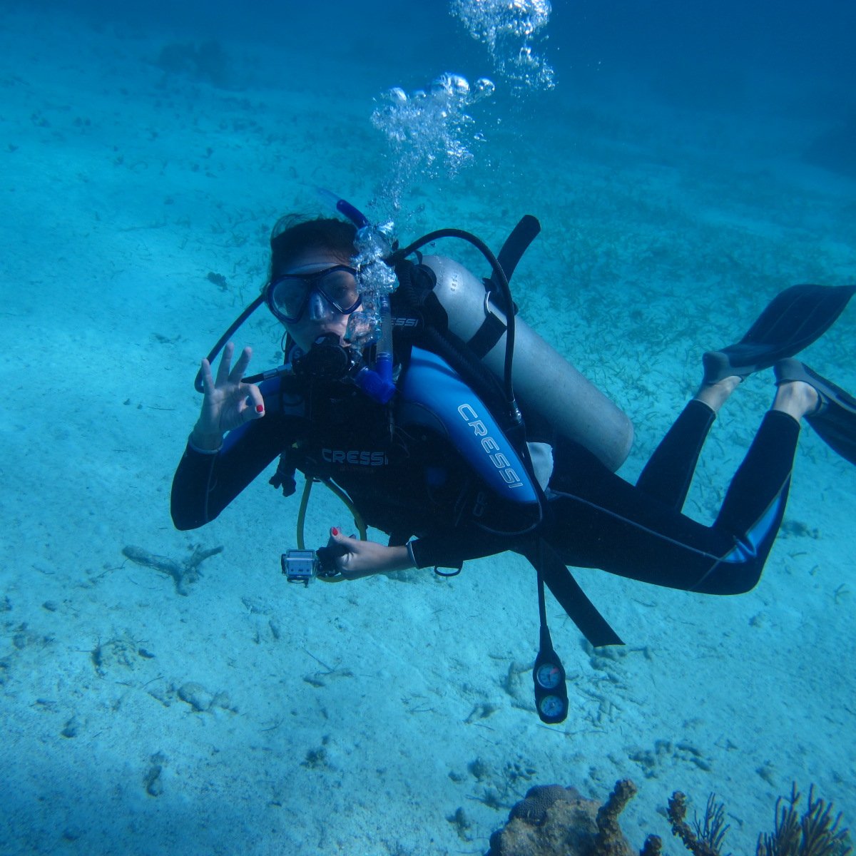 Centro scuola subacquea - DIDATTICHE E FORMAZIONE DI QUALITA'