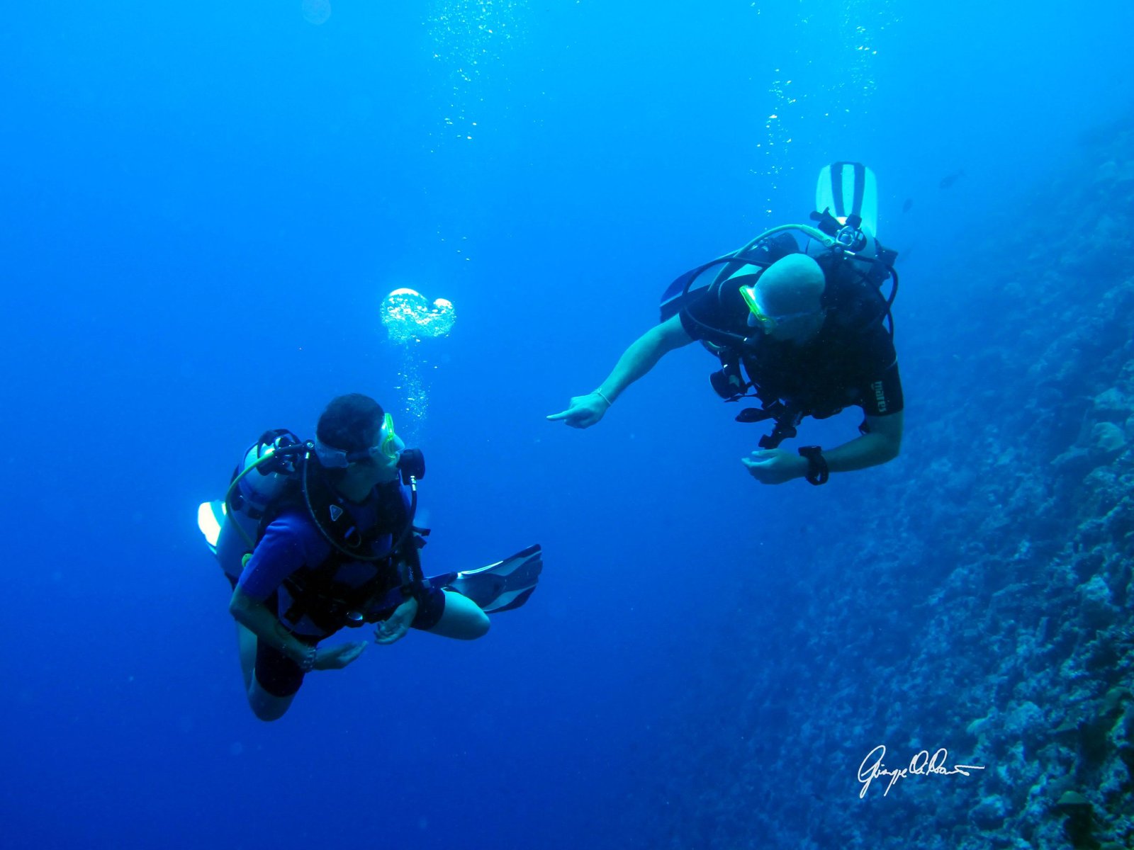 Centro scuola subacquea - DIDATTICHE E FORMAZIONE DI QUALITA'